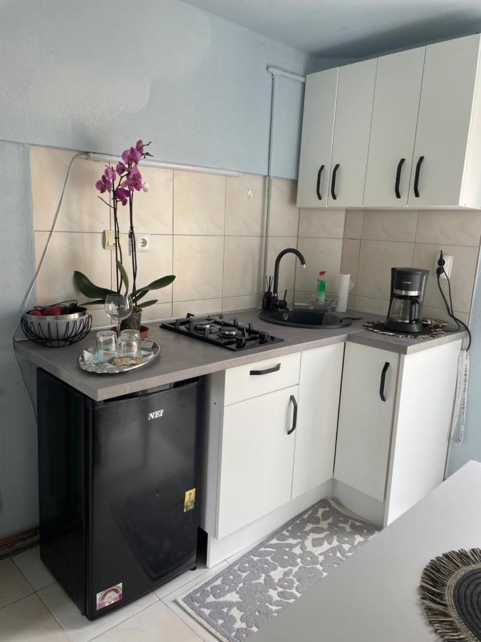 דירות טימישוארה Garsoniera La Casa מראה חיצוני תמונה